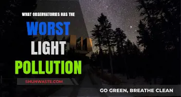 Light Pollution: Observatories' Worst Nightmares