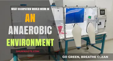 Anaerobic Occupations: Exploring Jobs That Thrive Without Oxygen