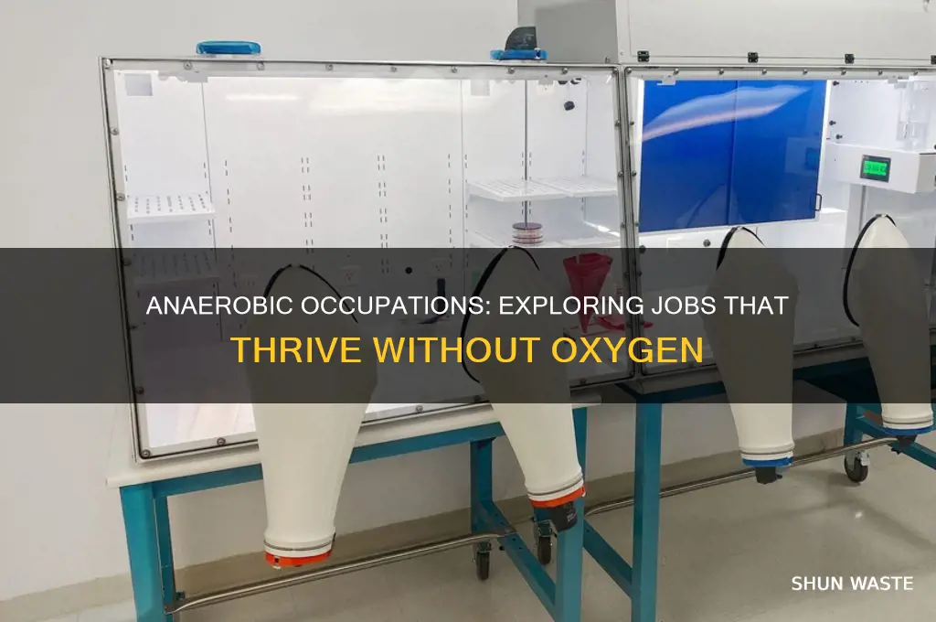 what occupation would work in an anaerobic environment