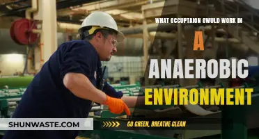 Thriving in Anaerobic Conditions: Ideal Occupations for Oxygen-Free Environments