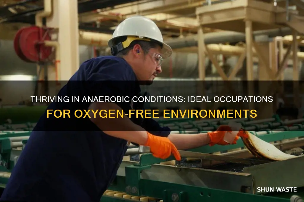 what occuptaion owuld work in a anaerobic environment