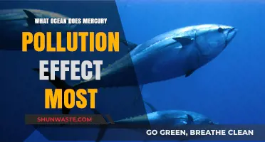 Mercury Pollution's Impact: Which Ocean Suffers Most?