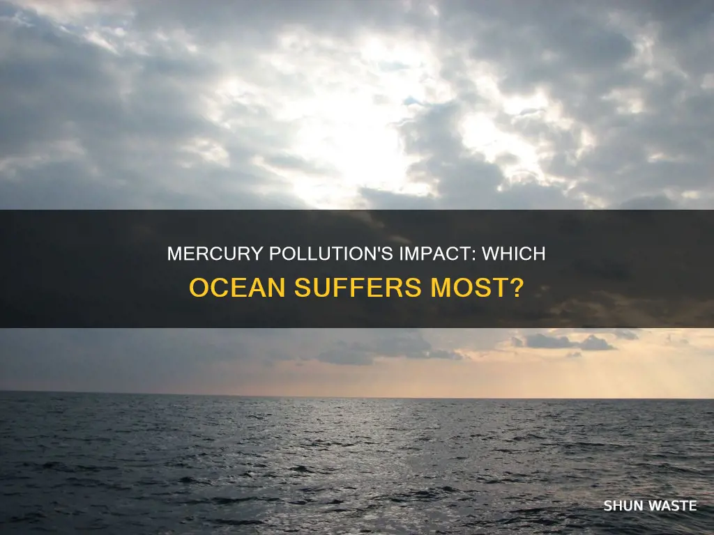 what ocean does mercury pollution effect most