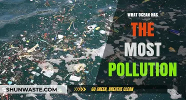 Plastic Pollution: Which Ocean is the Most Polluted?
