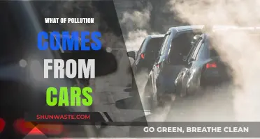 Cars: Major Culprits of Pollution