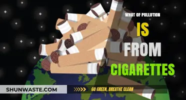 Cigarettes: A Major Contributor to Air Pollution