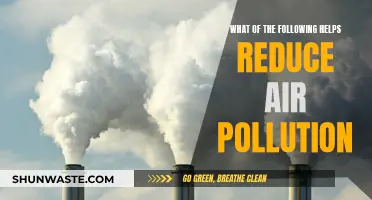Green Solutions to Reduce Air Pollution