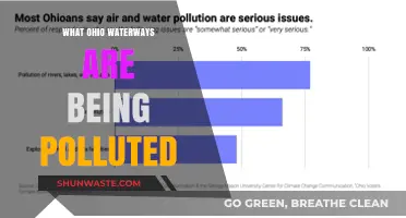 Ohio Waterways: Polluted and at Risk