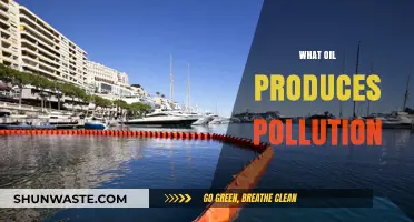 The Dark Side of Oil: Pollution and its Sources