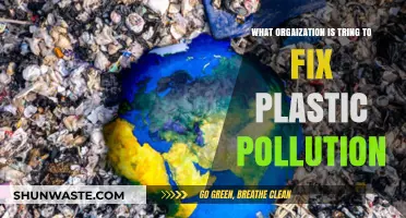 Organizations Combating Plastic Pollution: A Global Effort