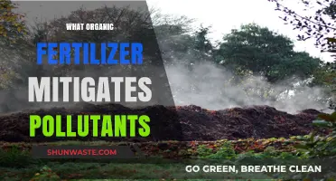 Organic Fertilizers: Reducing Pollution, Improving Soil Health