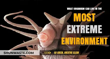 Extreme Survivors: Organisms Thriving in Earth's Harshest Environments