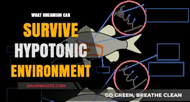 Organisms Thriving in Hypotonic Environments: Survival Strategies Unveiled