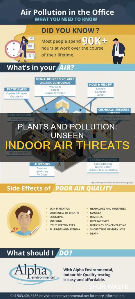 what organism contribute to indoor air pollution