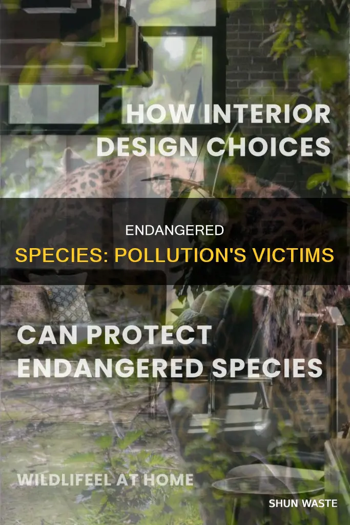 what organism is endangered by pollution