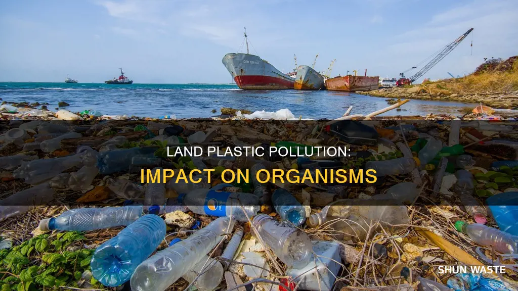 what organisms are being affected by plastic pollution on land