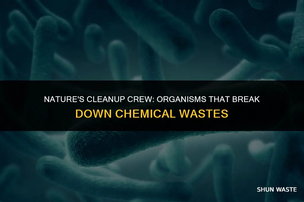 what organisms can break down chemical wastes