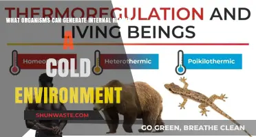 Cold-Adapted Creatures: Unveiling Nature's Internal Heat Generators in Extreme Environments