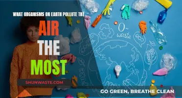 Air Polluters: The Worst Offenders on Earth