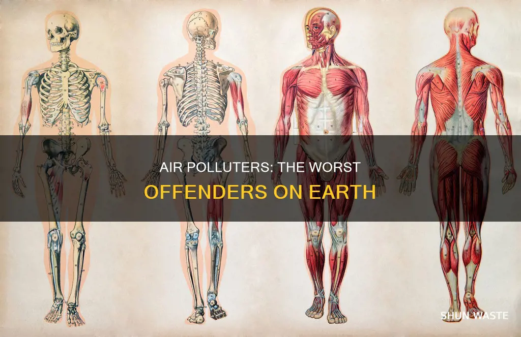 what organisms on earth pollute the air the most