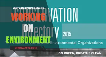 Key Environmental Organizations: Agencies Leading Global Conservation Efforts Today