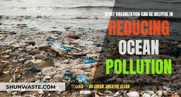 Combating Ocean Pollution: Organizations Leading the Way