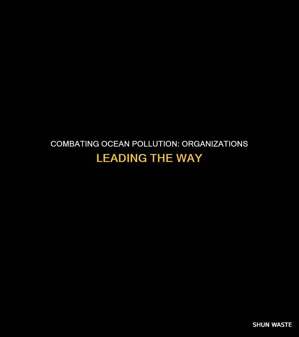 what organization can be helpful in reducing ocean pollution