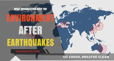 Post-Earthquake Environmental Recovery: Key Organizations Leading Restoration Efforts