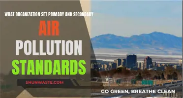 Air Pollution Standards: Who Sets the Rules?