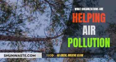 Global Pollution: Organizations Taking Action for Cleaner Air