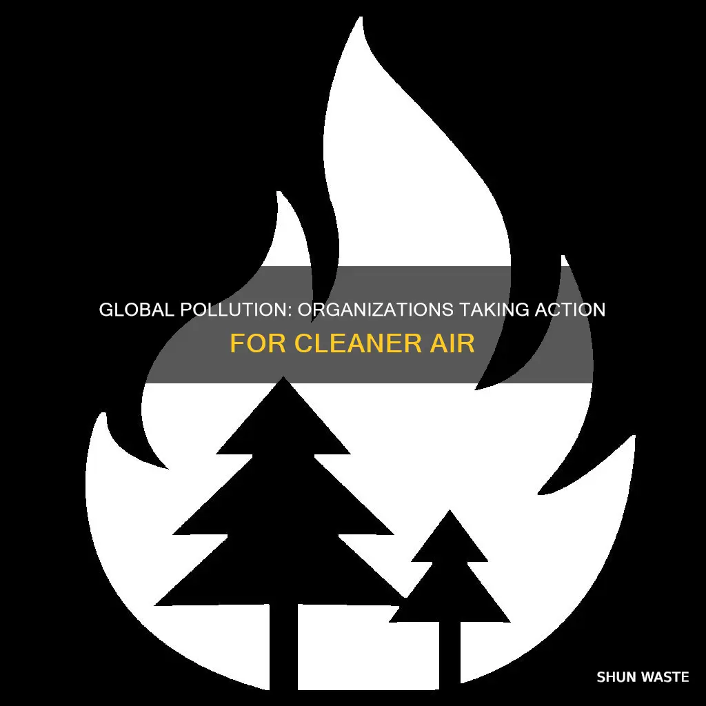 what organizations are helping air pollution