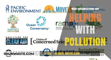 Who's Fighting Pollution? Organizations Making an Impact