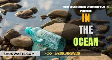 Ocean Cleanup: Organizations Leading the Way