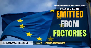 Factory Emissions: Who Monitors and Regulates Pollutants?