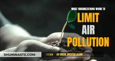 Clean Air Champions: Organizations Fighting Pollution