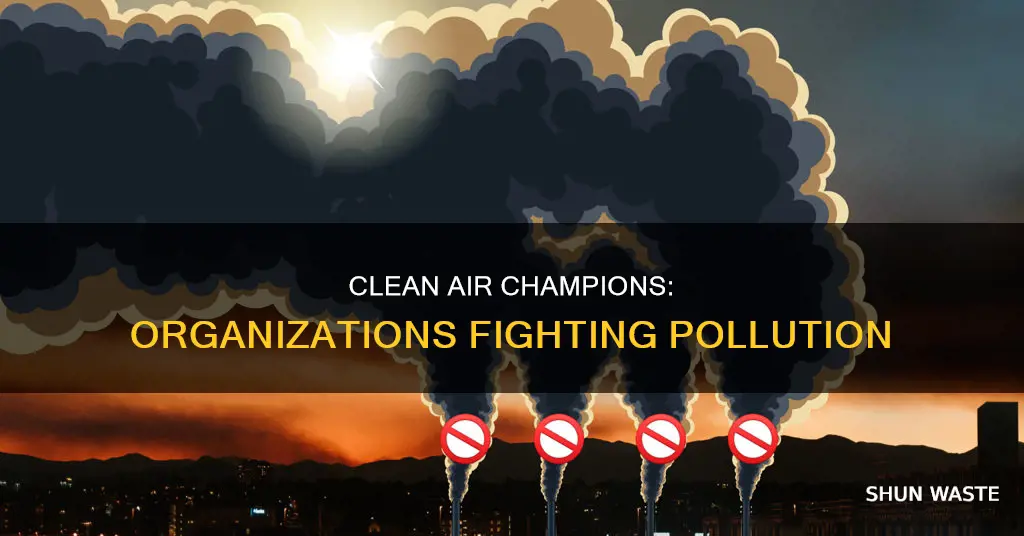 what organizations work to limit air pollution