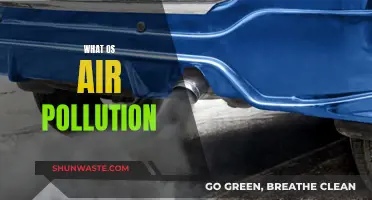 Air Pollution: A Threat to Our Health and Environment