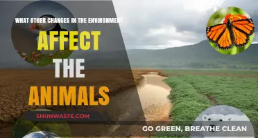 Environmental Shifts: How Habitat Changes Impact Animal Survival and Behavior