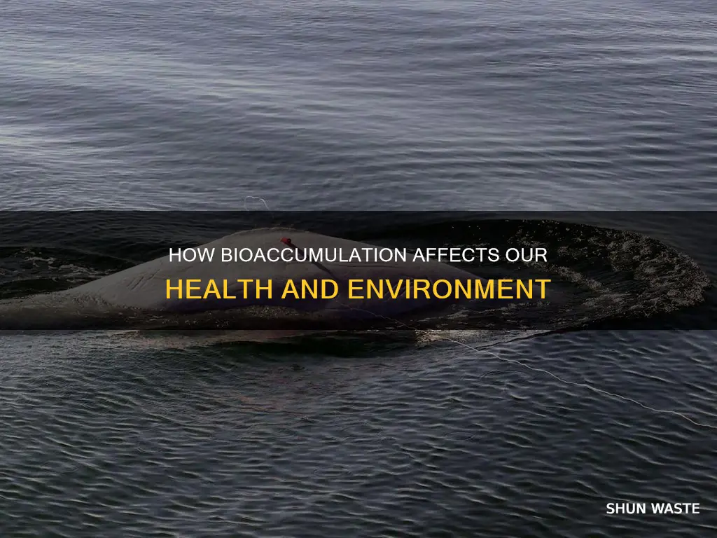 what other contaminants pollutants might bioaccumulate