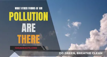 Air Pollution: Beyond the Haze