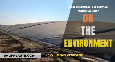 Complex Civilizations' Environmental Footprint: Beyond the Obvious Impacts