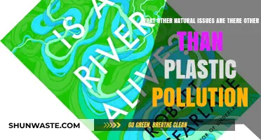 The Natural World: Plastic and Beyond