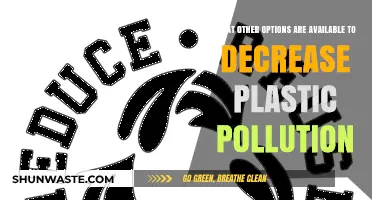 Reducing Plastic Pollution: Exploring Alternative Solutions