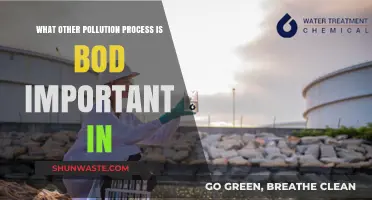 Understanding BOD: Pollution's Unseen Impact