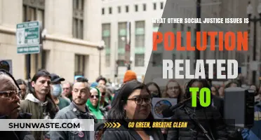 Pollution's Intersectional Harms: Social Justice and Environmentalism