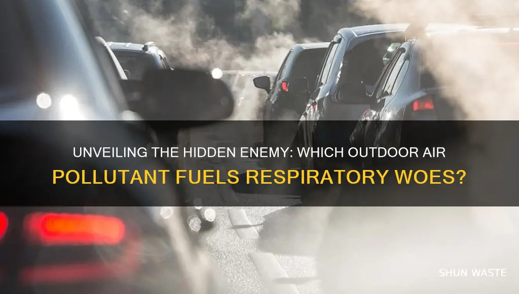 what outdoor air pollutant causes the most respiratory diseases