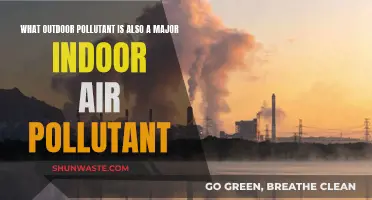 Outdoor and Indoor Air: A Common Pollutant
