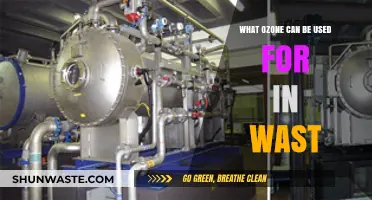 Exploring Ozone's Potential in Waste Management and Disinfection
