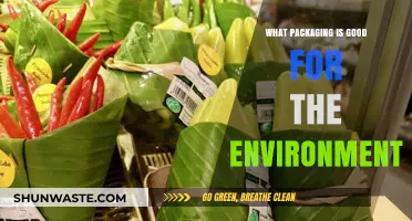 Eco-Friendly Packaging Solutions: Sustainable Choices for a Greener Planet