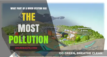 River Pollution: The Troubled Tributaries